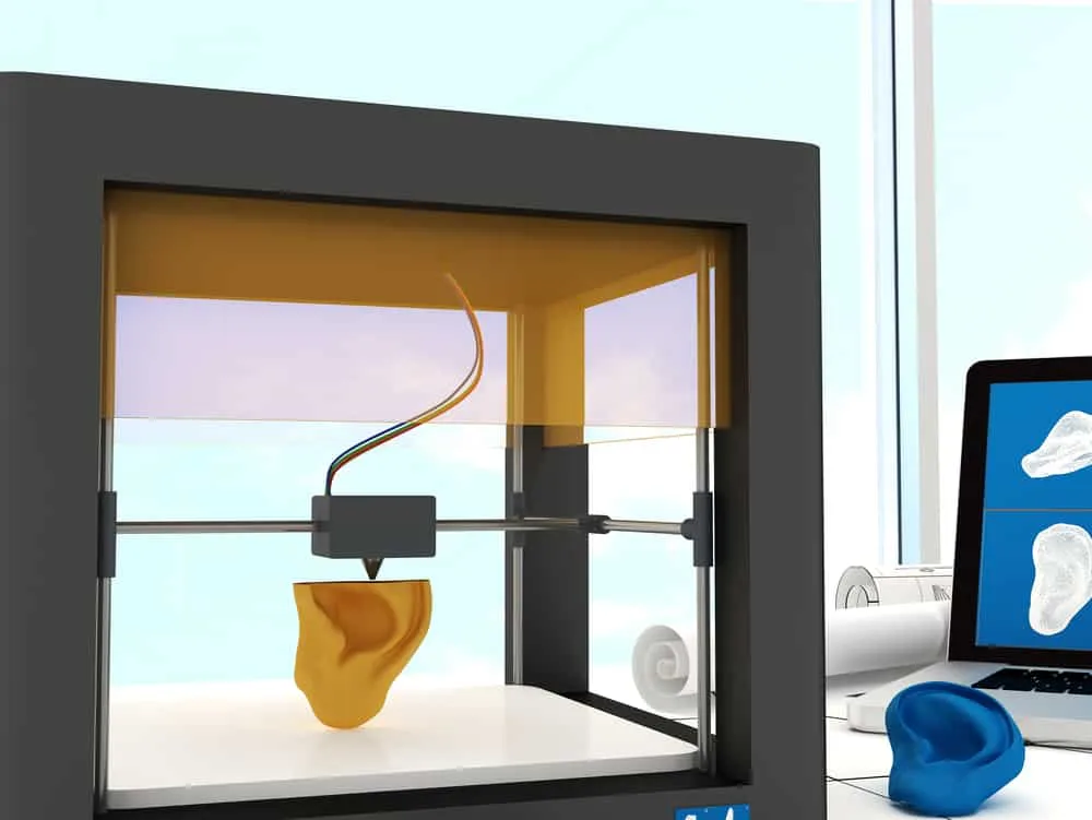 3D Print Ear